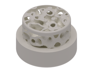 Bone Implant