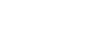 nTop logo white